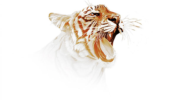 Tiger9